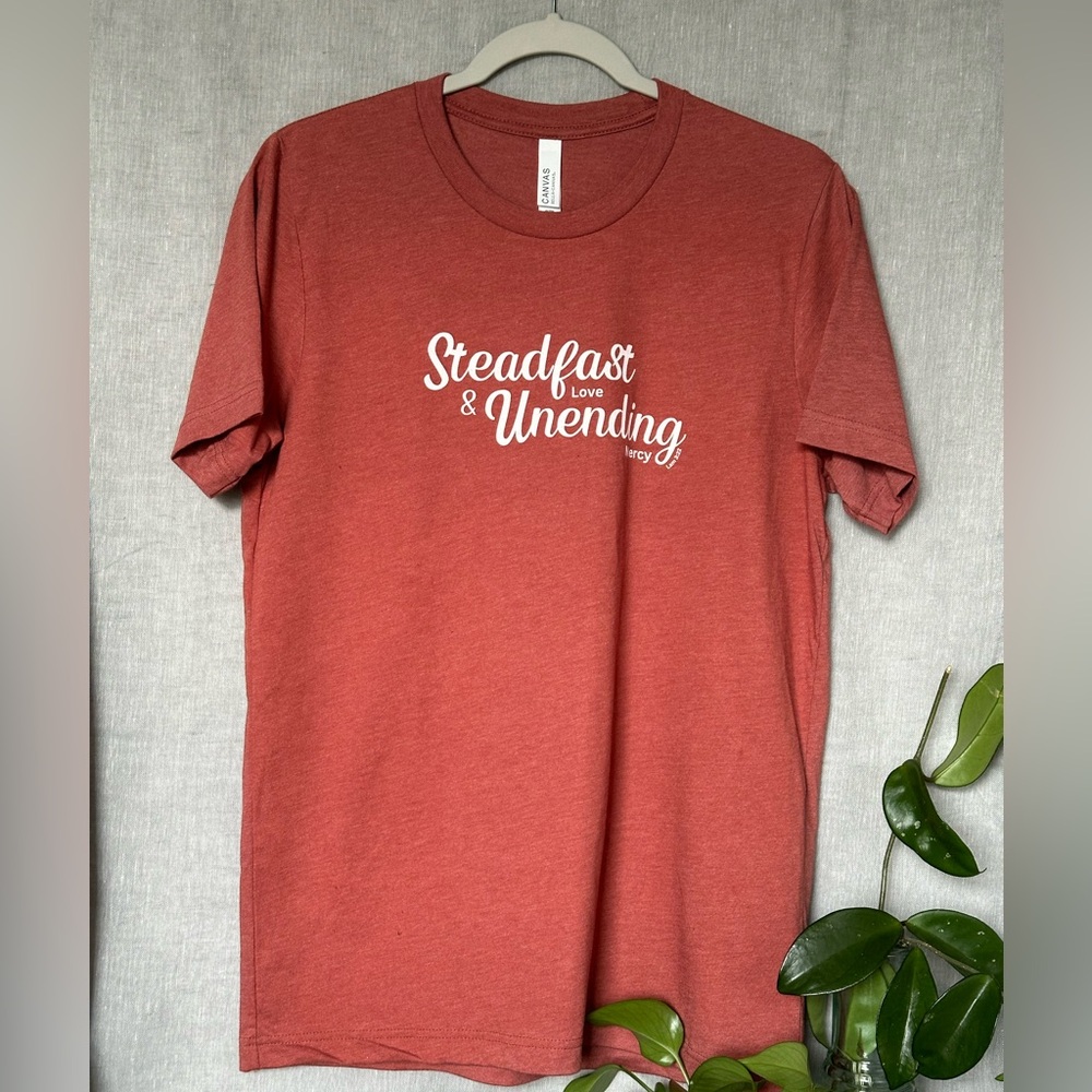 Steadfast and Unending Tshirt in heather clay szM